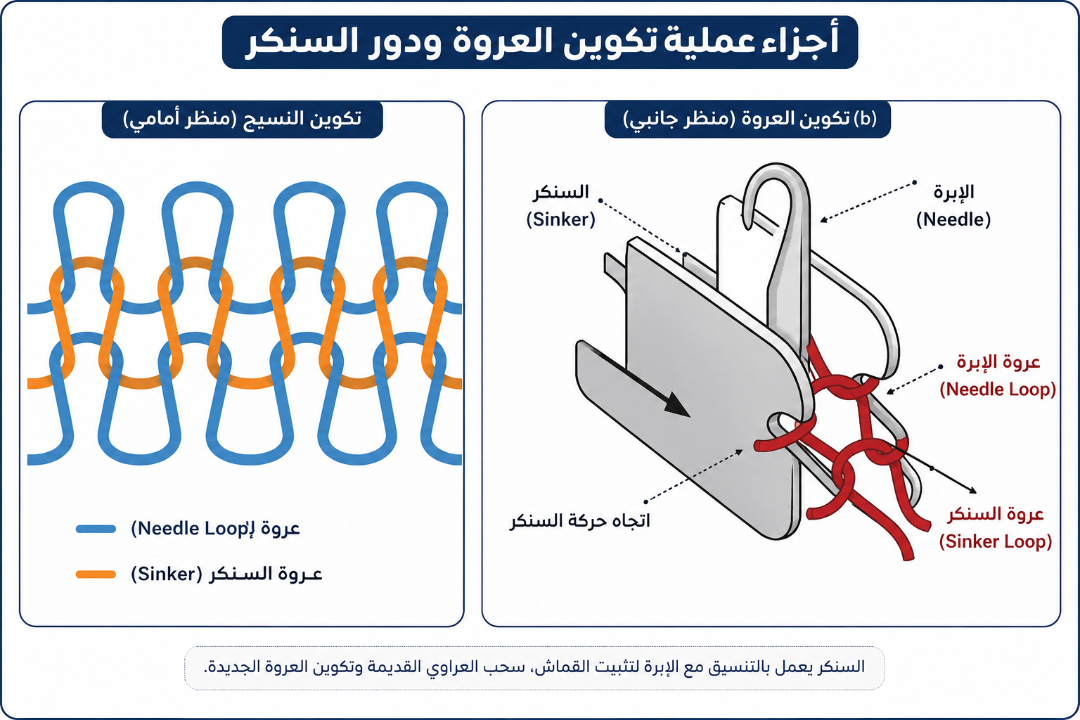 رسم توضيحي يوضح دور السنكر والإبرة في تكوين عراوي التريكو أثناء عملية الحياكة.