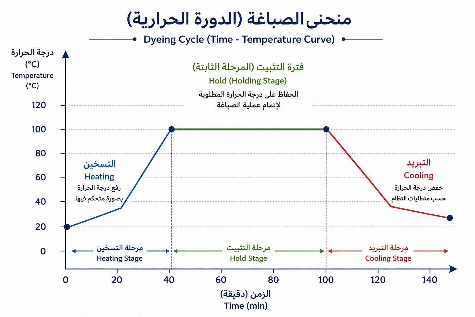 إنفوجرافيك يوضح منحنى دورة الصباغة الزمني–الحراري ومراحل التسخين والتثبيت والتبريد. 
